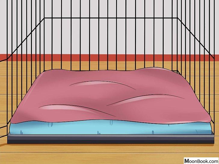 以Prevent a Dog from Defecating in its Crate Step 3为标题的图片