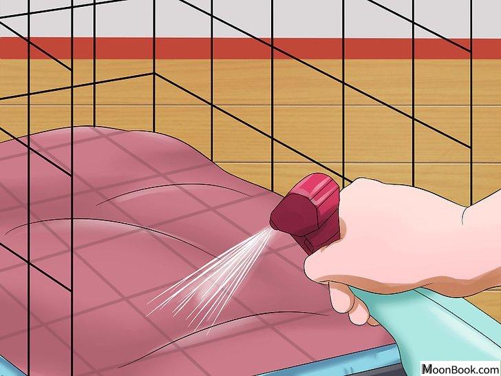 以Prevent a Dog from Defecating in its Crate Step 4为标题的图片
