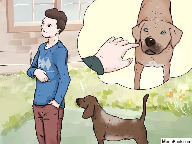以Punish a Dog Step 2为标题的图片