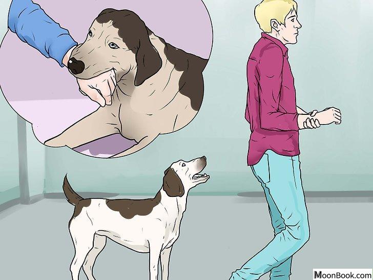以Punish a Dog Step 5为标题的图片