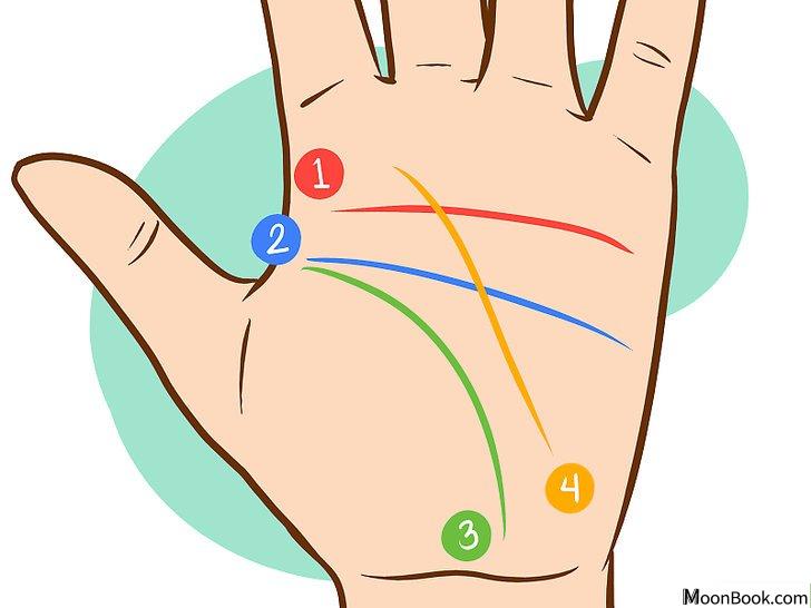 以Read Palm Lines Step 2为标题的图片