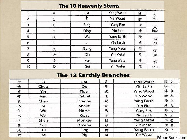 以Read Your Chinese Horoscope Step 11为标题的图片