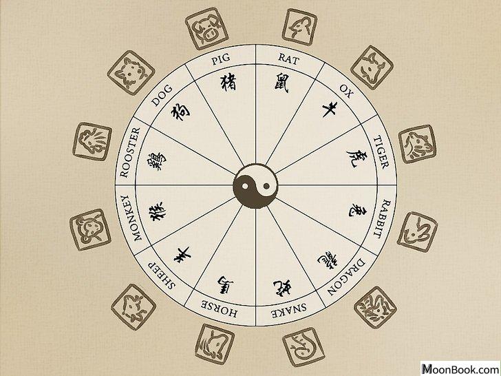 以Read Your Chinese Horoscope Step 12为标题的图片