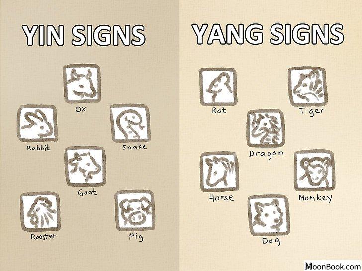 以Read Your Chinese Horoscope Step 9为标题的图片