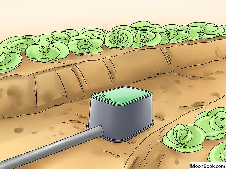 以Recycle Water Step 10为标题的图片