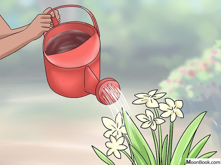 以Recycle Water Step 11为标题的图片
