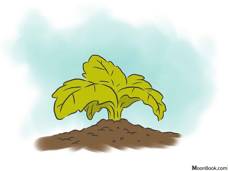 以Reduce Your Carbon Footprint Step 17为标题的图片