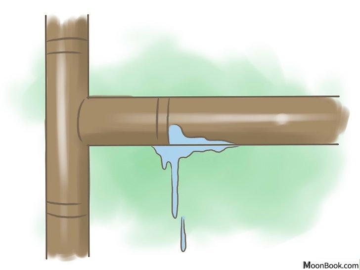 以Reduce Your Carbon Footprint Step 22为标题的图片