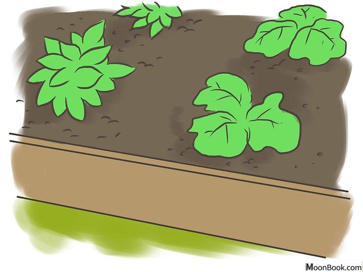 以Reduce Your Carbon Footprint Step 7为标题的图片
