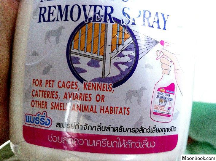 以Remove Cat Urine from Wood Floors Step 2为标题的图片