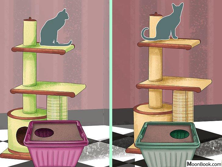 以Retrain a Cat to Use the Litter Box Step 16为标题的图片