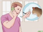 以Stop Your Cat