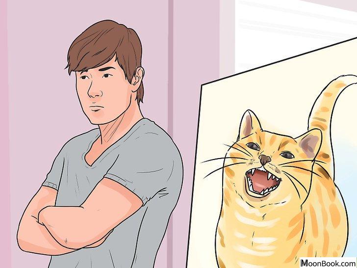 以Stop a Cat from Biting and Scratching Step 7为标题的图片