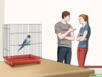 以Teach Your Budgie to Talk Step 1为标题的图片