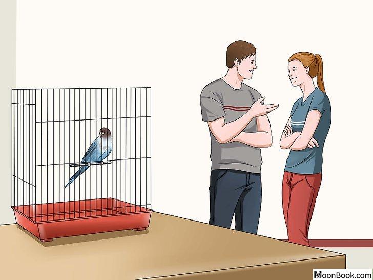 以Teach Your Budgie to Talk Step 1为标题的图片