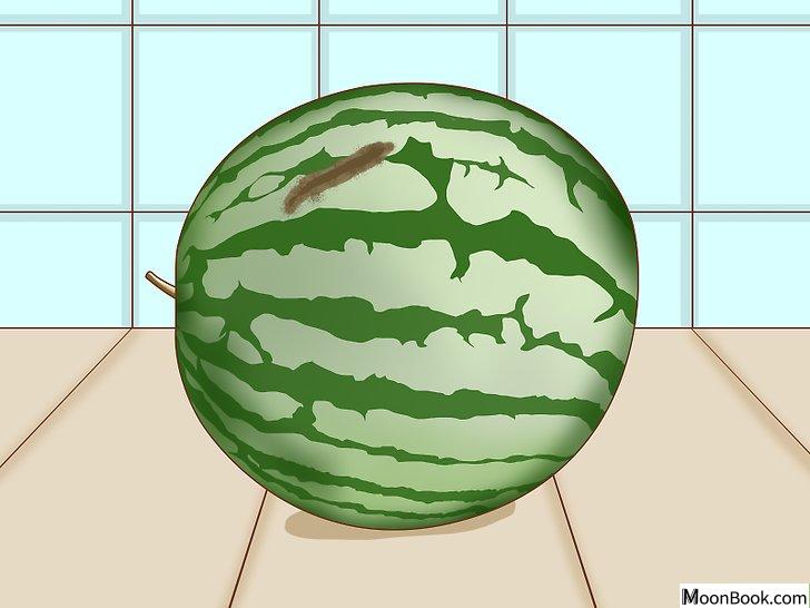 以Tell if a Watermelon Is Bad Step 1为标题的图片