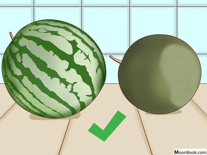 以Tell if a Watermelon Is Bad Step 2为标题的图片