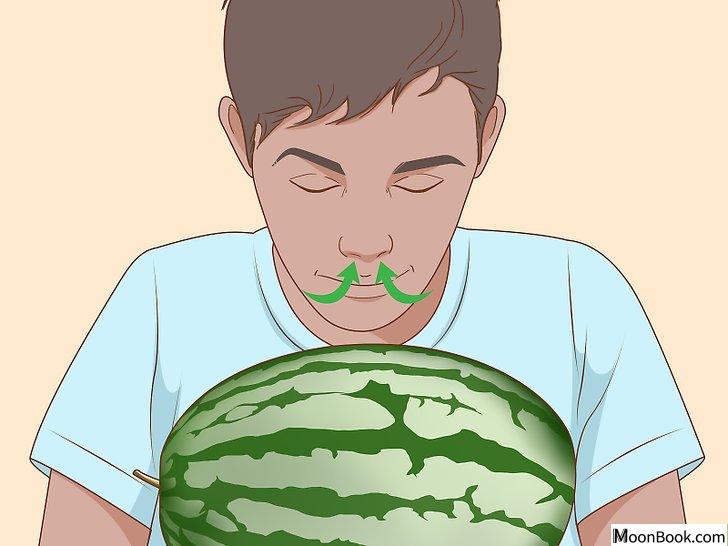以Tell if a Watermelon Is Bad Step 5为标题的图片