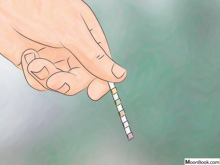 以Test Water Quality Step 5为标题的图片