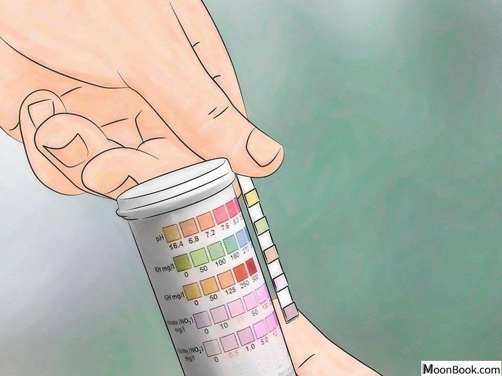 以Test Water Quality Step 6为标题的图片