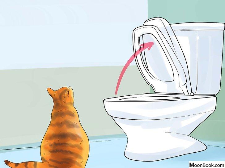 以Toilet Train Your Cat Step 10为标题的图片