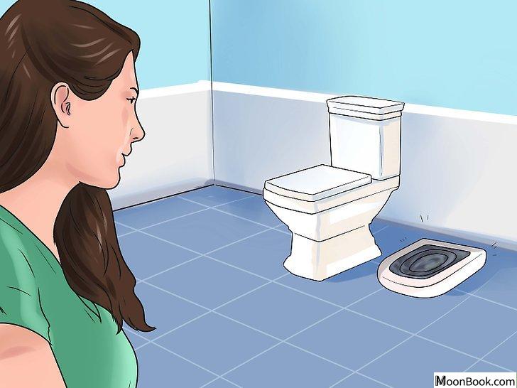 以Toilet Train Your Cat Step 2为标题的图片
