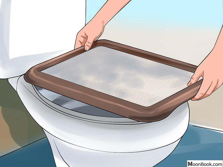 以Toilet Train Your Cat Step 3为标题的图片