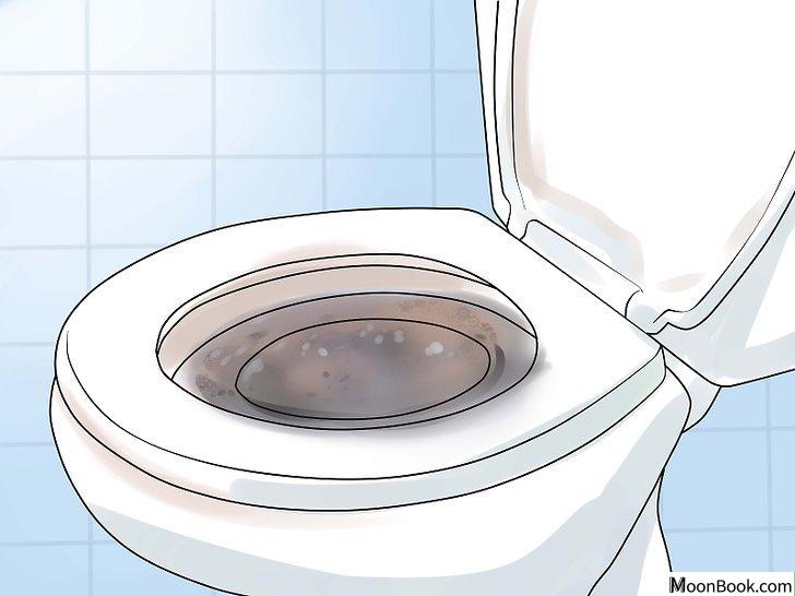 以Toilet Train Your Cat Step 6为标题的图片