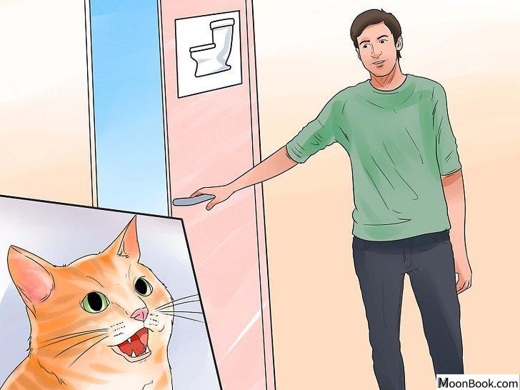 以Toilet Train Your Cat Step 9为标题的图片