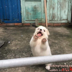 今天和明天都要快乐哦