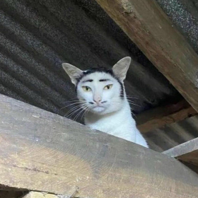 He is born