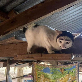 He is born