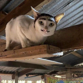 He is born